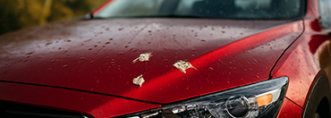 Paint protection film blocking UV rays, rain and bird poop under Arizona sun